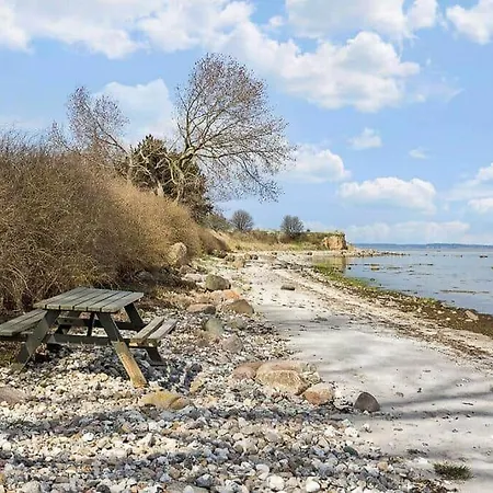 Semesterbostad Ae263-soby-aero-nederste-skovbymark-9 *