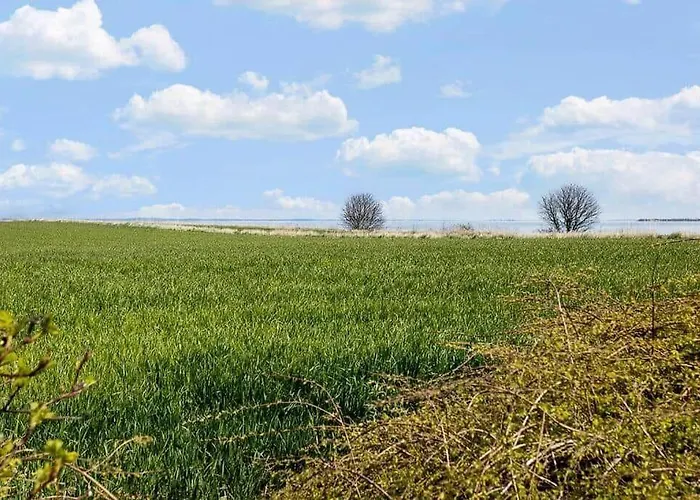 Ae263-soby-aero-nederste-skovbymark-9 Semesterbostad